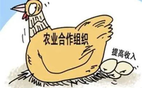 河南（鄭州）農民專業合作社注銷工商執照流程手續